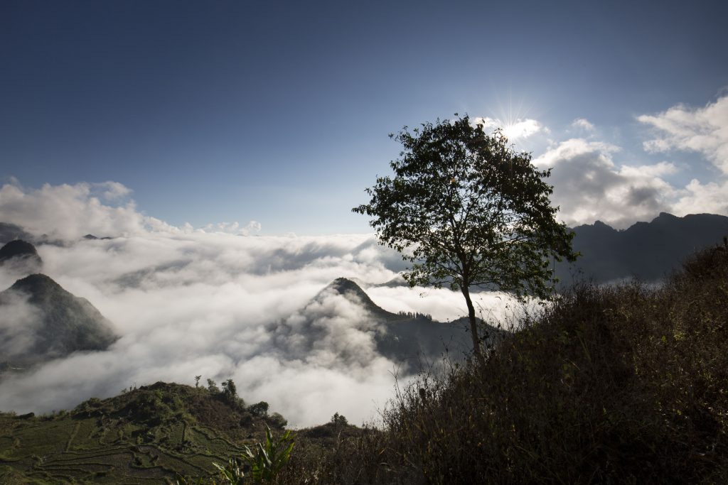 VINH3459 Compressed 1024x683